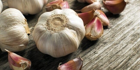 Da li je moguće jesti bijeli luk kod dijabetes melitusa tipa 1, tipa 2